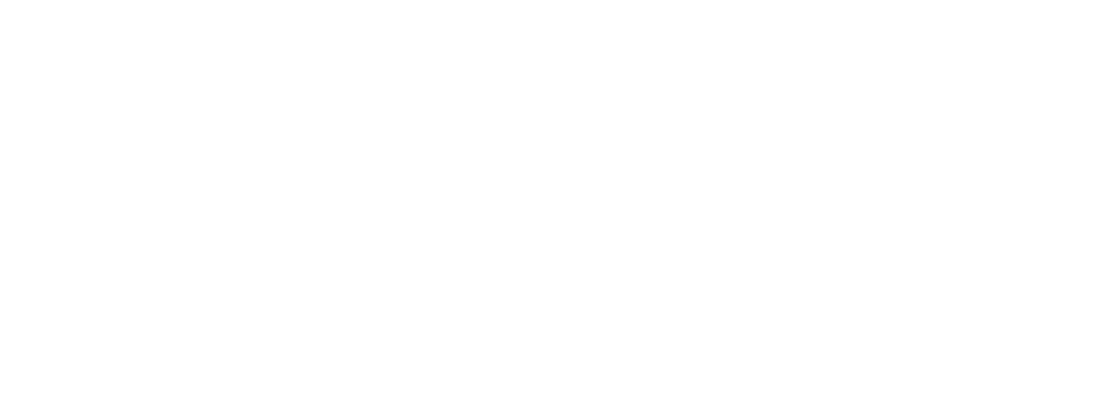 Rivir Seguros